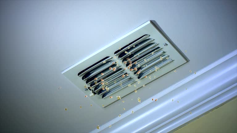 Best Affordable Duct Cleaning Services  in Larned, KS